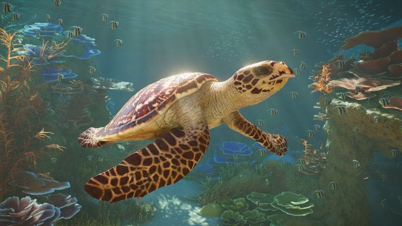 planetzoo2
