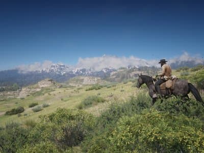 Red Dead Redemption 2 Cover