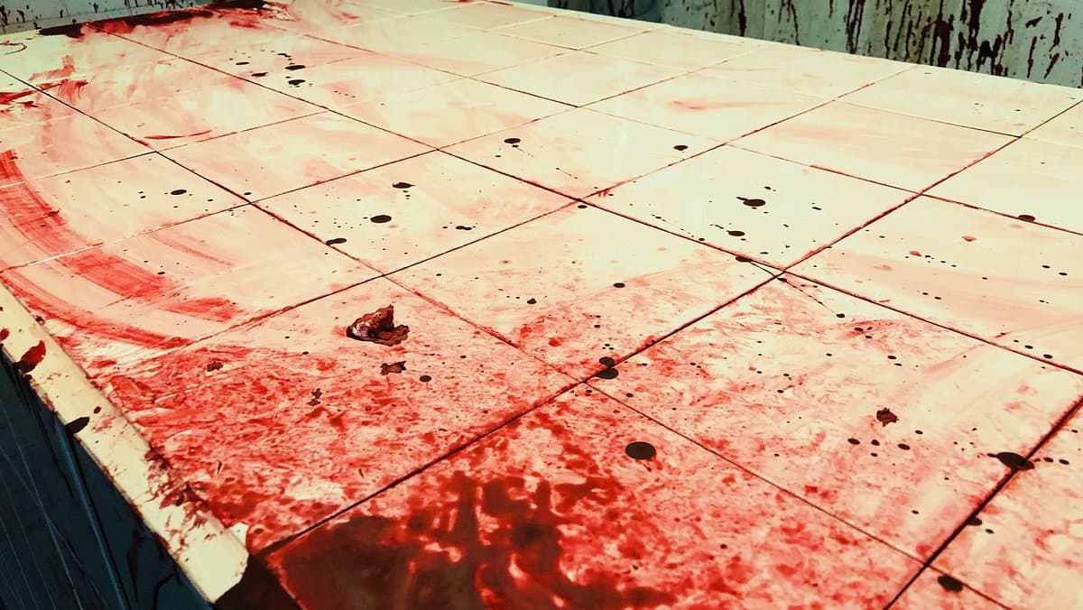 SuperTotalCarnage! komt spoedig naar Steam