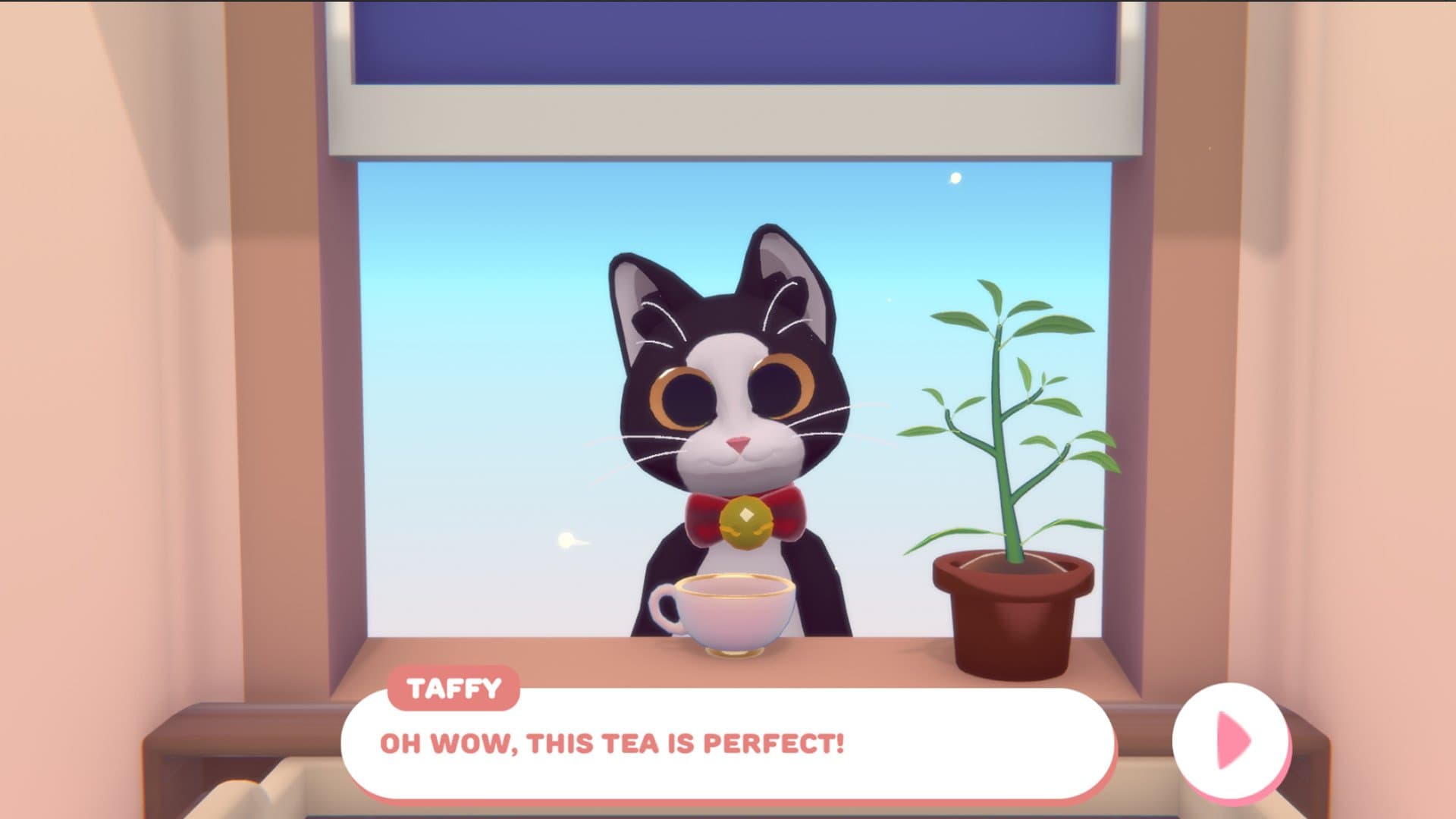 Kattenliefhebbers gaan helemaal plat op Pekoe