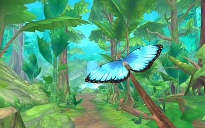 Lekker rustig foto's schieten in Flutter Away