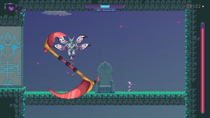 Vision Soft Reset Vision Soft Reset