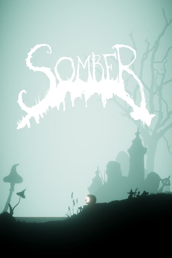 Cover van Somber