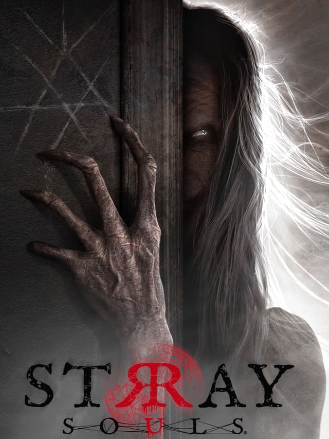Cover van Stray Souls
