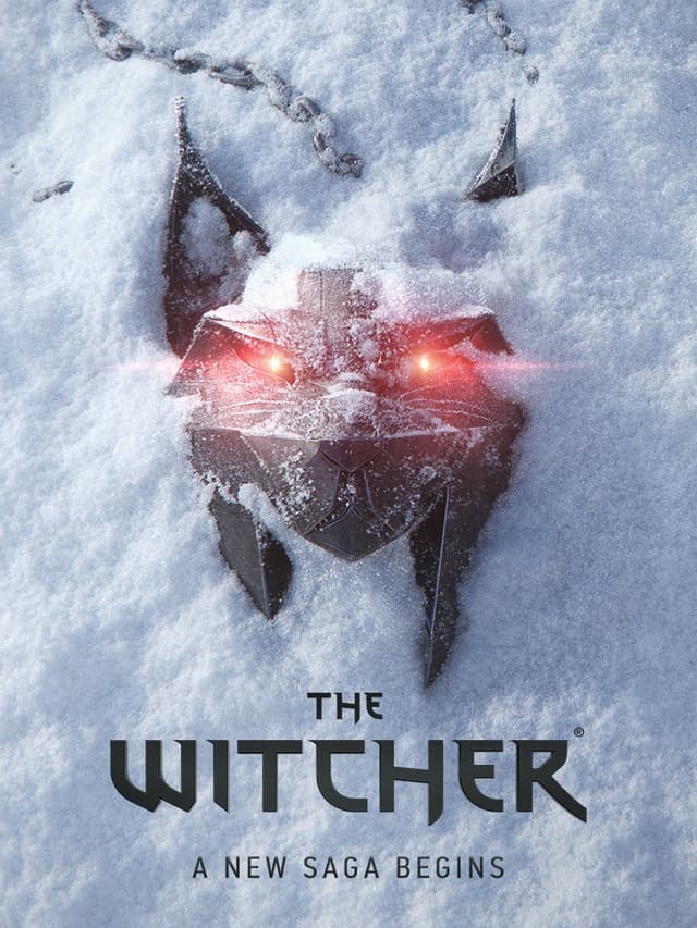 Cover van The Witcher