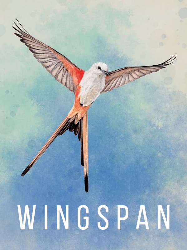 Cover van Wingspan