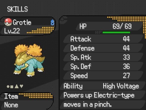 Pokémon: Shadowstone