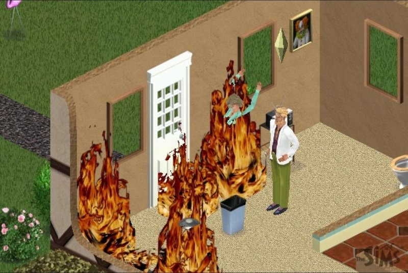 The Sims