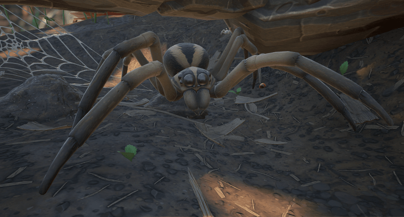 Wolf_Spider Grounded