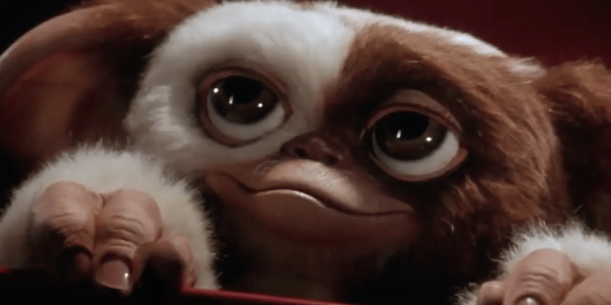 Dit shirt mag absoluut niet nat worden!