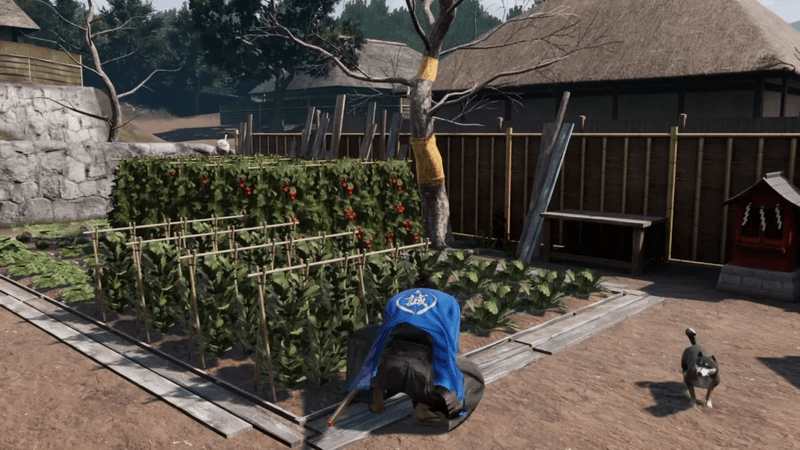 Like a Dragon: Ishin Review-2