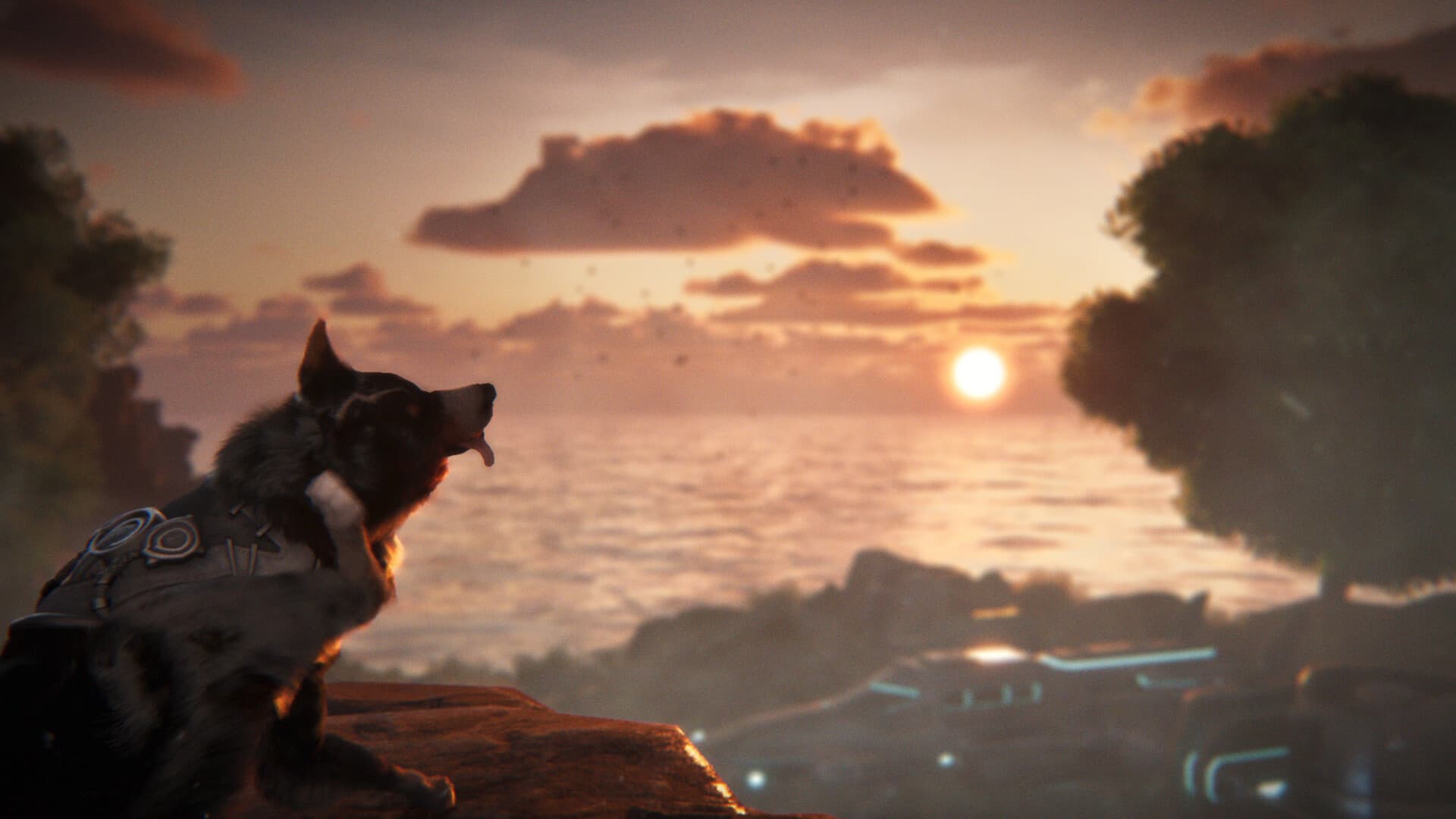 Barkour screenshot 2