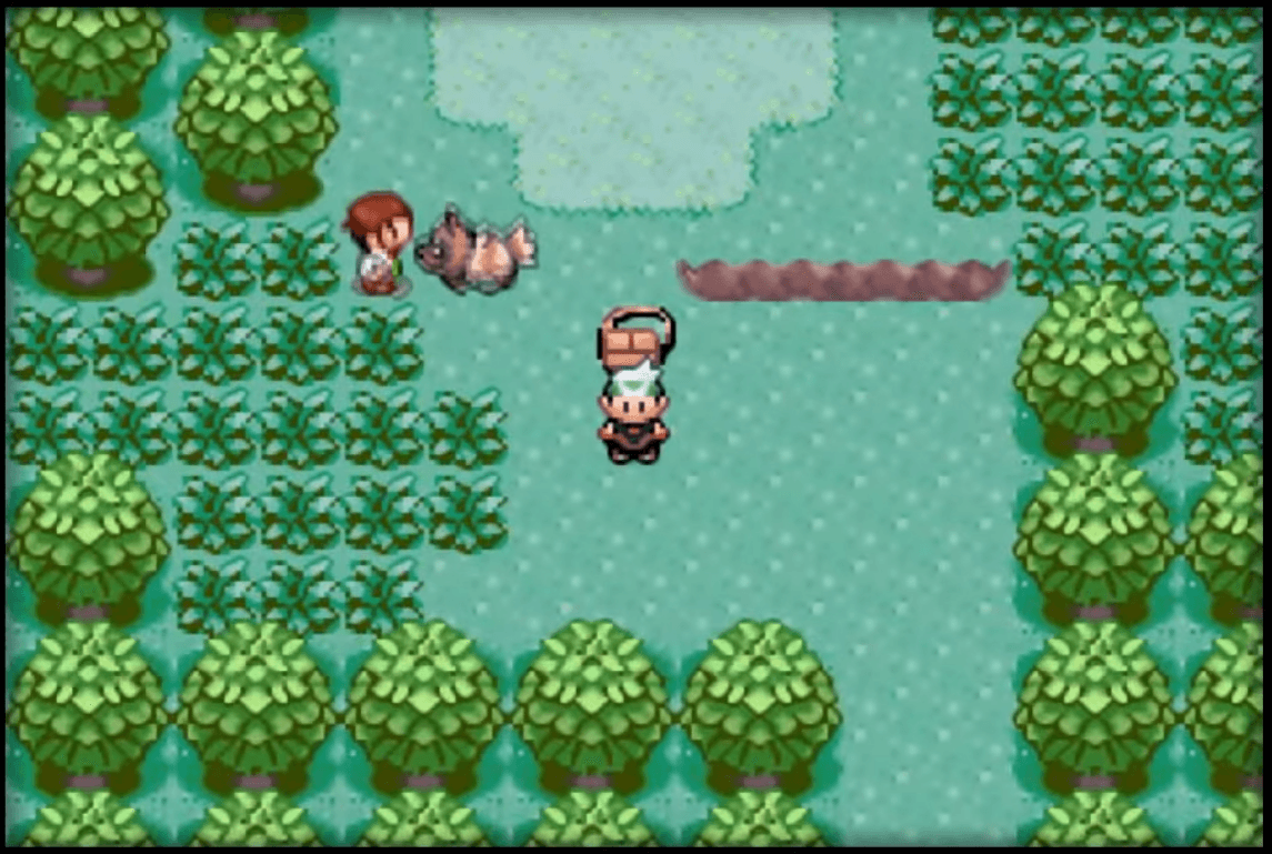 Pokémon Emerald Version screenshot 2