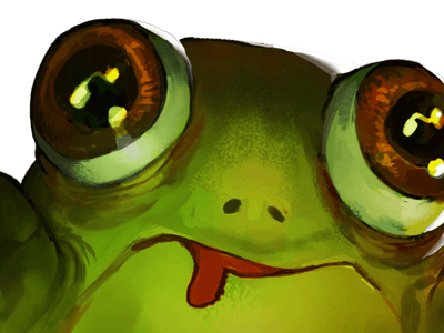 FROG IN THE HOLE! Cover