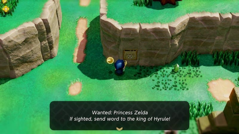 The Legend of Zelda: Echoes of Wisdom Review-3