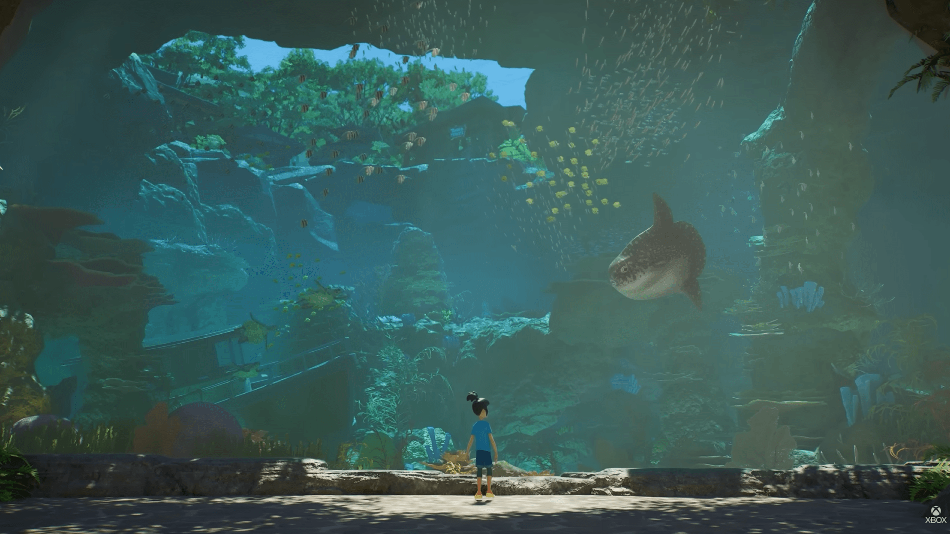 Aquariums zijn indrukwekkend in Planet Zoo 2