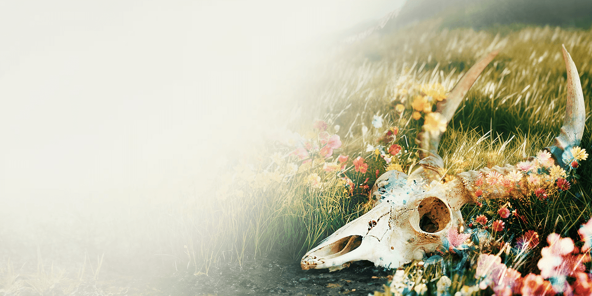 NACON toont nieuwe trailer van The Fading of Nicole Wilson