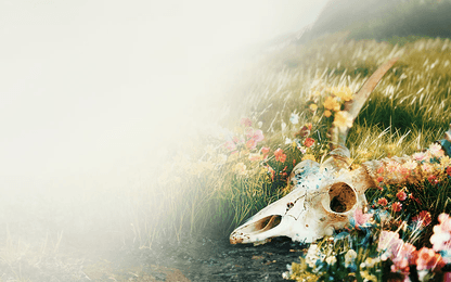 NACON toont nieuwe trailer van The Fading of Nicole Wilson