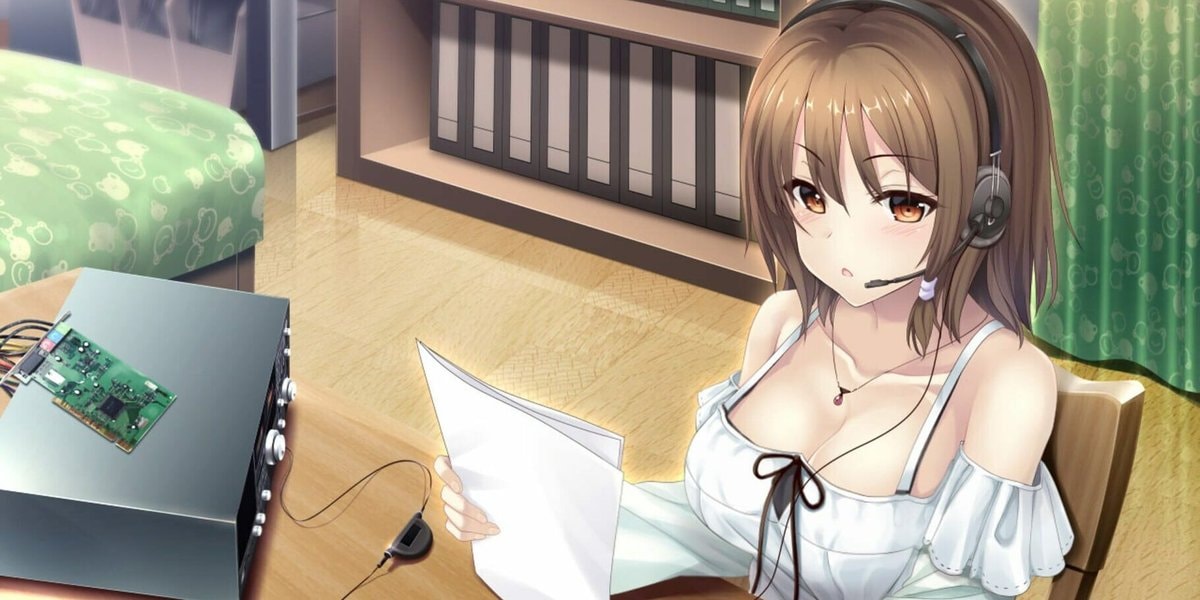 The Future Radio and the Artificial Pigeons