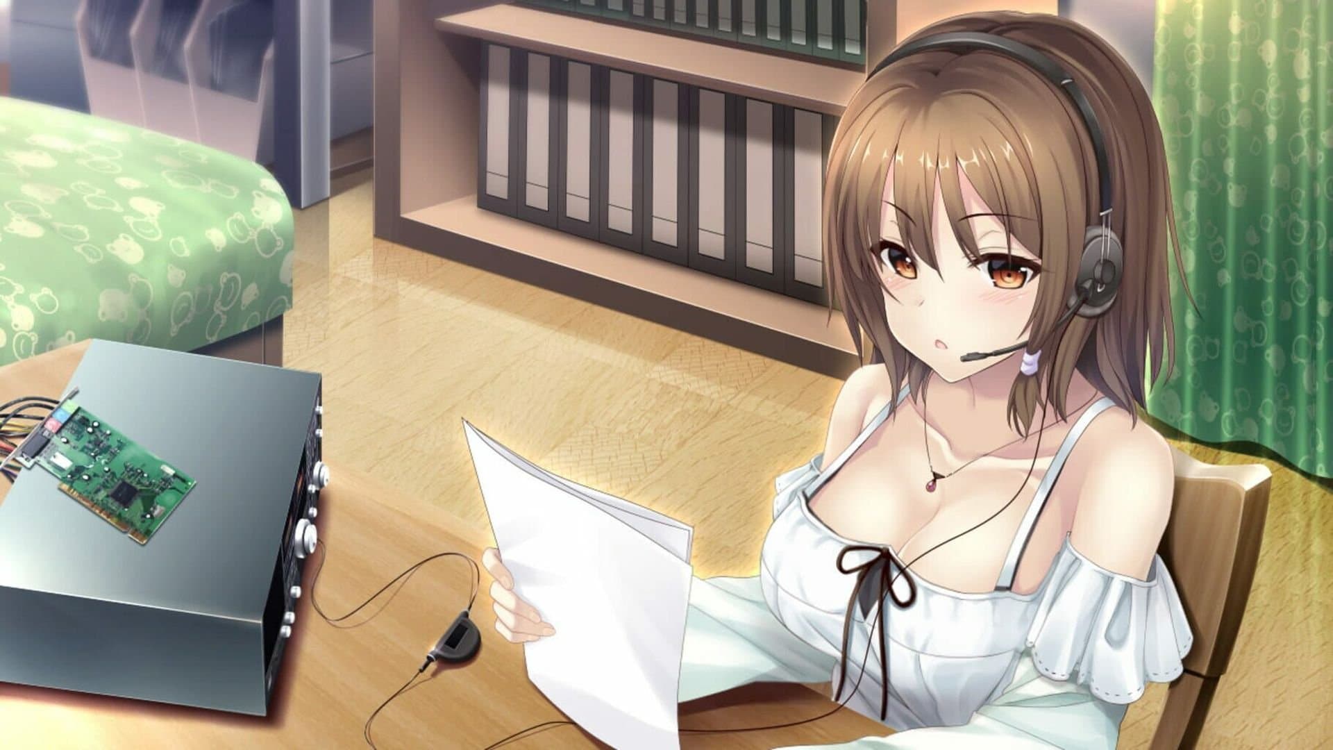 The Future Radio and the Artificial Pigeons