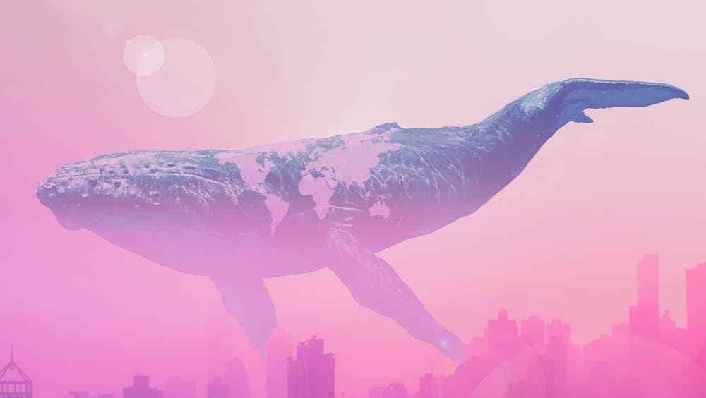 Karige informatie bekendgemaakt over de nieuwe game Whalefall