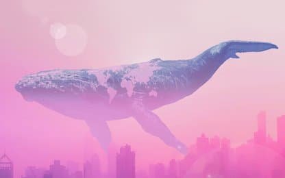 Karige informatie bekendgemaakt over de nieuwe game Whalefall