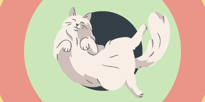 A Little to the Left krijgt nieuwe DLC