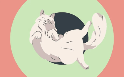 A Little to the Left krijgt nieuwe DLC