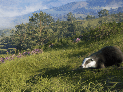 theHunter: Call of the Wild Cover