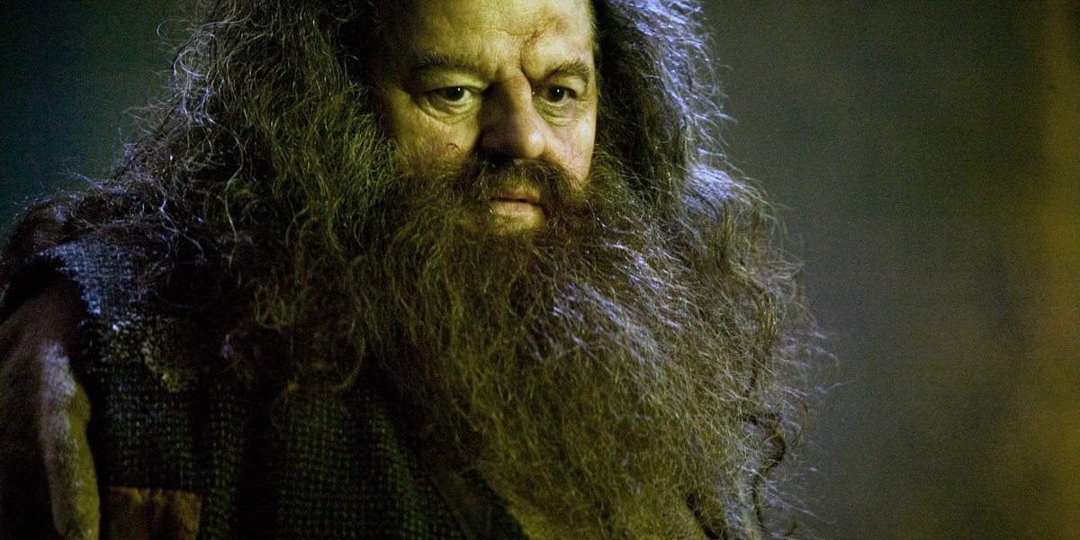 Dit Harry Potter-shirt doet denken aan Kuifje