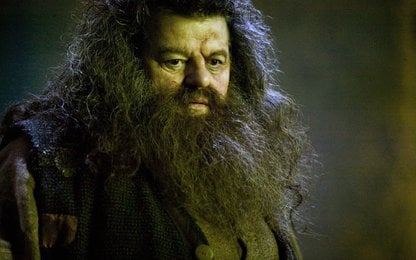 Dit Harry Potter-shirt doet denken aan Kuifje