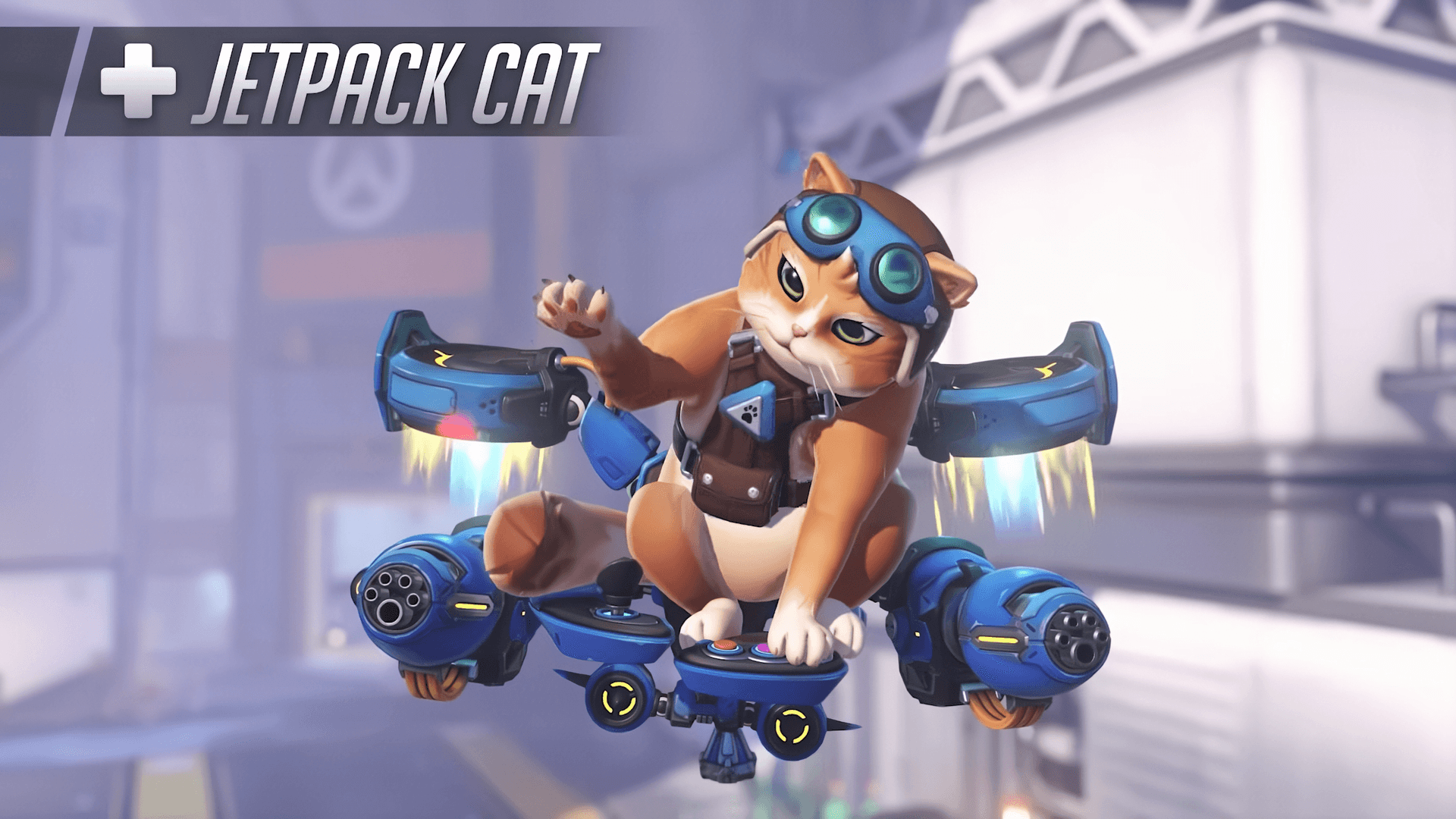 Het verhaal achter Jetpack Cat van inside joke tot speelbaar Overwatch personage