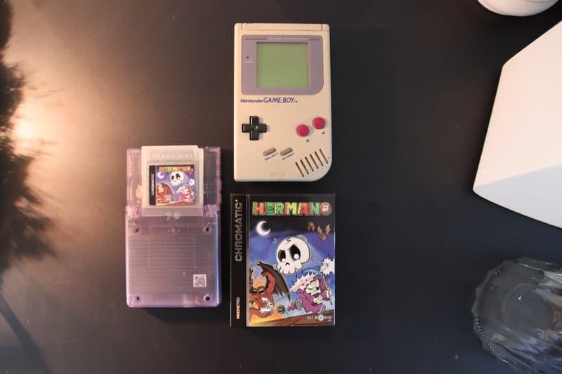 Hermano_Gameboy_modretro_review_9197