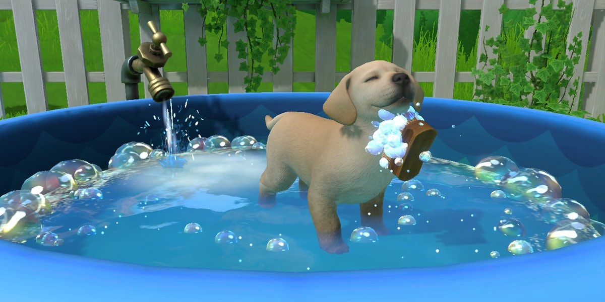 De schattigheid spat er vanaf in Little Friends: Puppy Island