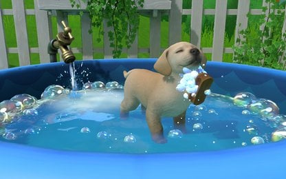 De schattigheid spat er vanaf in Little Friends: Puppy Island