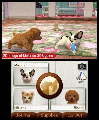Nintendogs + Cats: French Bulldog & New Friends screenshot 7