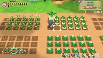 Story of Seasons: Friends of Mineral Town screenshot 11