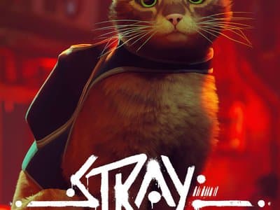 Stray_30bd3d1bc0