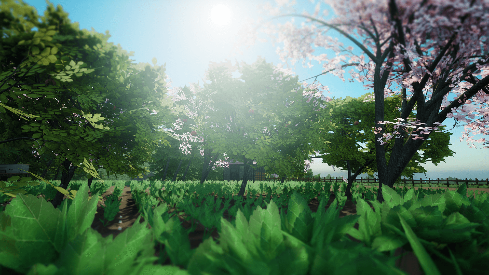 SunnySide laat je genieten van het boerenleven terwijl het erg lijkt op een bekende game