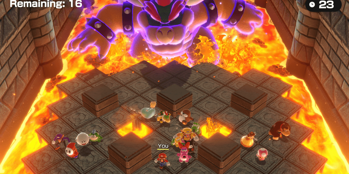 De Top 5 van 2024: Sander