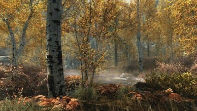 The Elder Scrolls V: Skyrim Special Edition screenshot 1