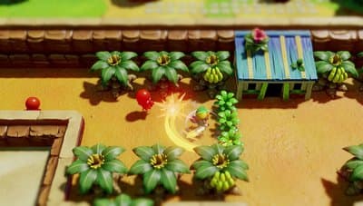 The Legend of Zelda: Link's Awakening screenshot 2