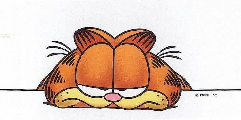 Garfield heeft geen zin in Qwertee's onzin