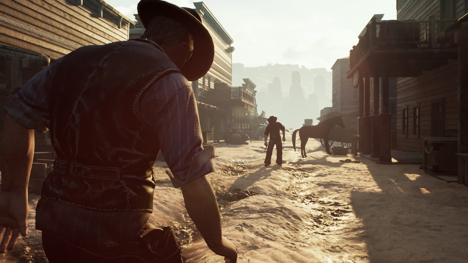 Cowboy Life Simulator