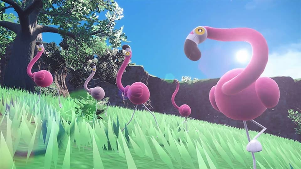 Het stikt nu van de Flamigo in Pokémon: Scarlet & Violet