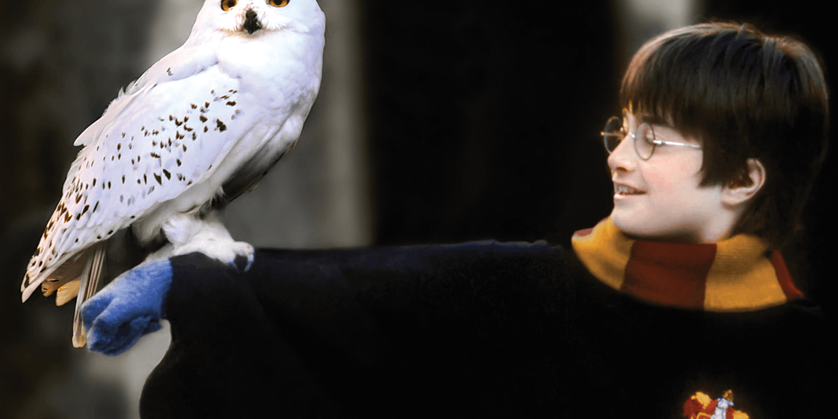 Qwertee belooft twee magische dagen met drie nieuwe designs