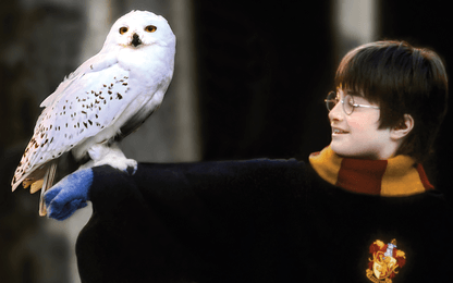 Qwertee belooft twee magische dagen met drie nieuwe designs