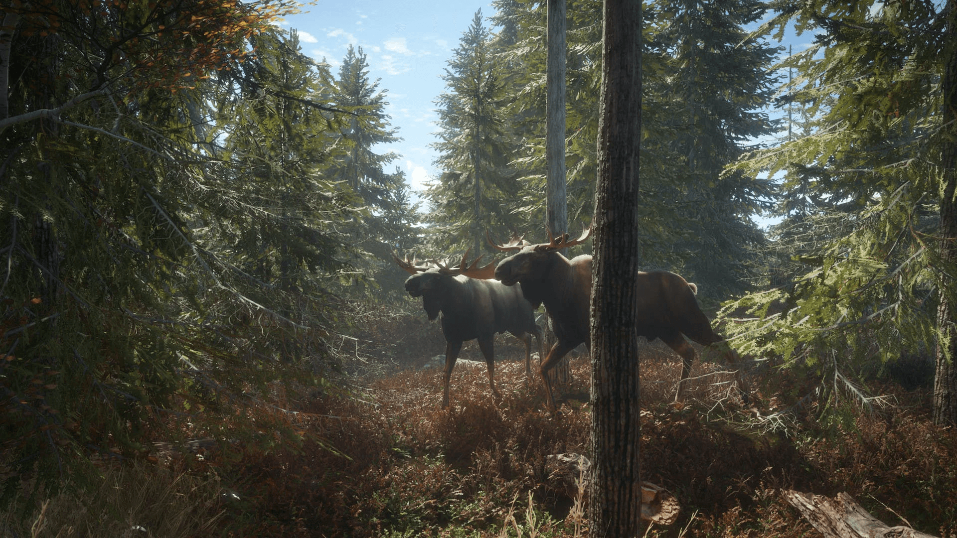Deze week geeft Epic ons theHunter: Call of the Wild