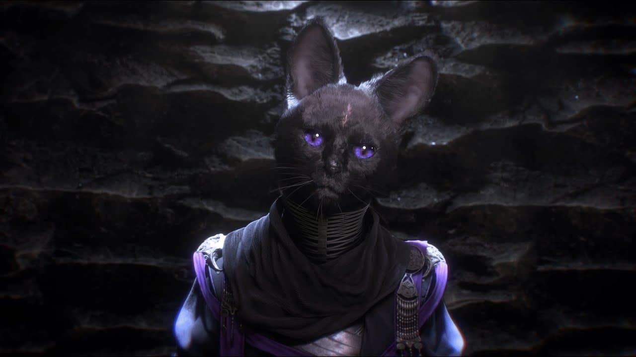 Je kunt vanaf 14 juli aan de slag met Kristala