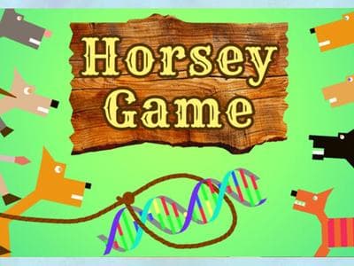 Horsey Game Cover